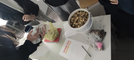 ''Gorączka Złota - Zbieramy i pomagamy''